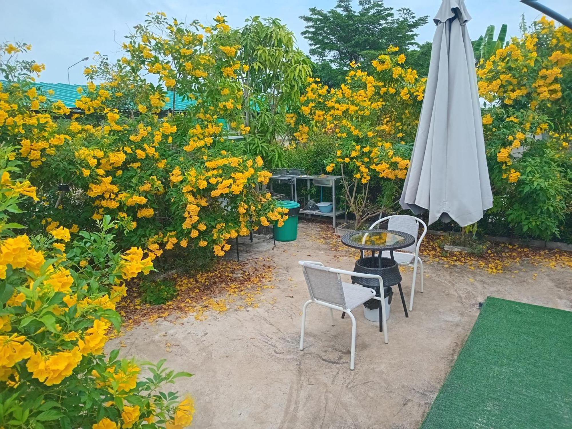 Apartment บ้านพักตากอากาศขนาดเล็ก ห่างชายหาดบางเก่า 800 เมตร #cottage